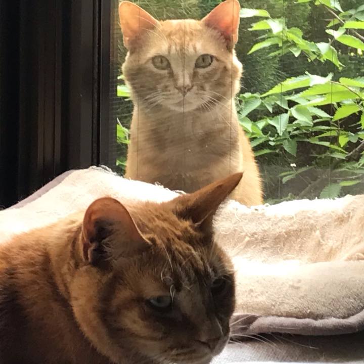 Aca17a65 13a7 4f31 9051 5ef9fd9dba66 1624346178273