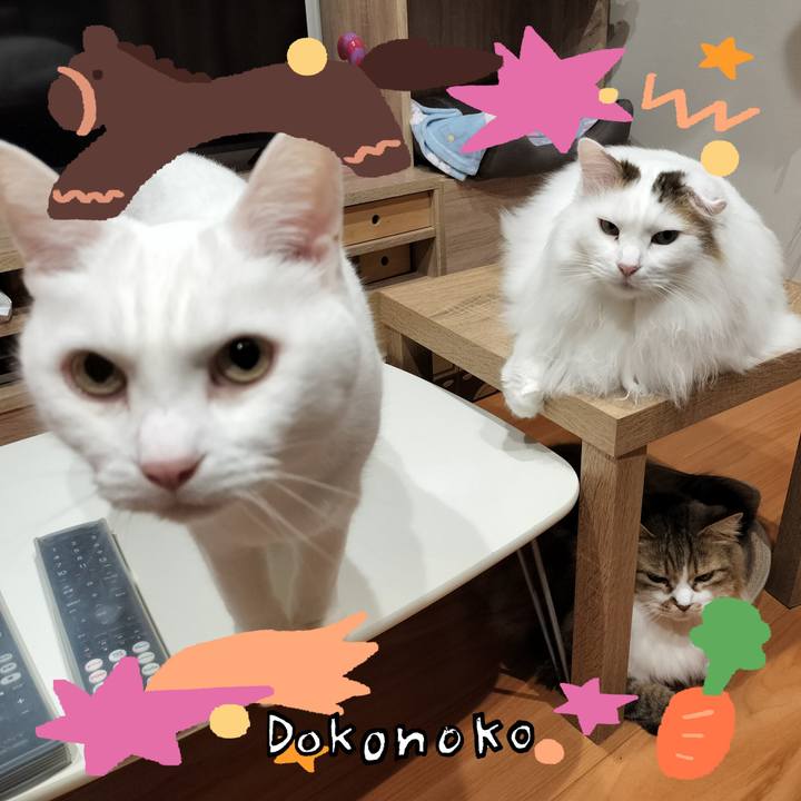 Aca1a025 ad4a 4239 bfd1 669120835d5c 1771904683196