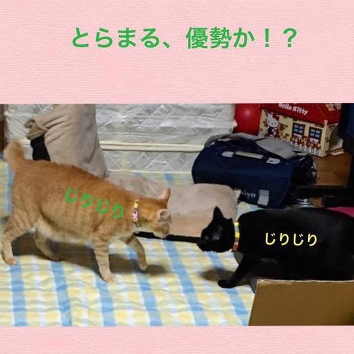 Aca1bdb4 2b6c 4f37 888b 6f2d89e0053c 1624075174978