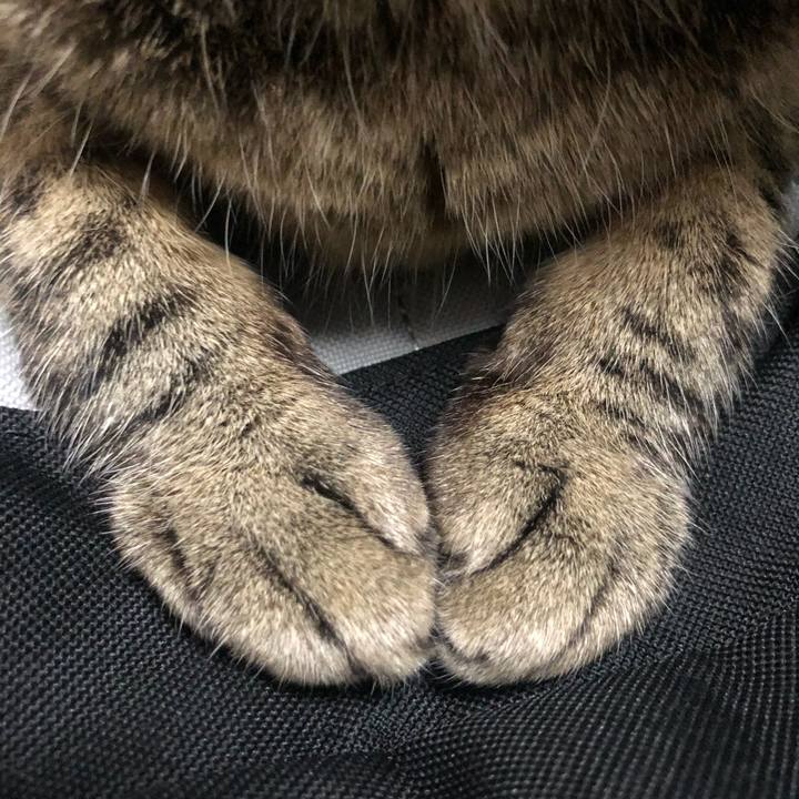 Aca1ccb7 3d54 4e8f 9043 4d735cd34325 1594883176756