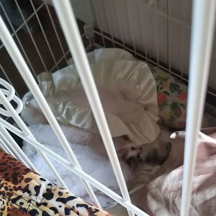 Aca21ffc ff0d 42fd a538 f6f69cabc7c5 1632449261957