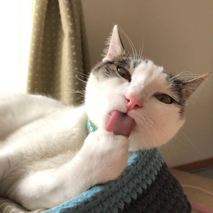 Aca231a6 3505 42b5 923c 4f217c14e215 1591776318473