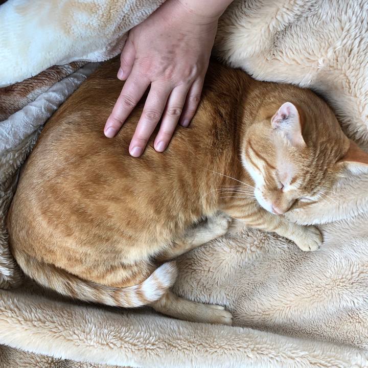 Aca2450d 24cb 4223 ac19 2c11ed05efec 1561773683778