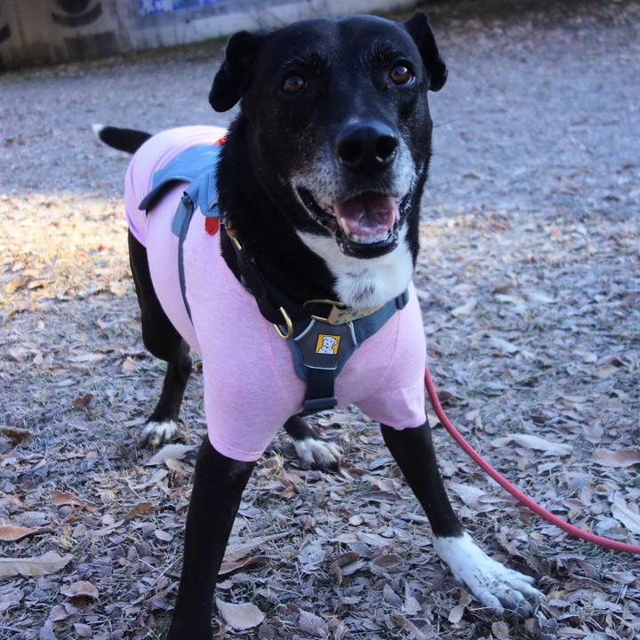 Aca2485b a9e1 437b 9aa9 09d1c16037a6 1704502953131