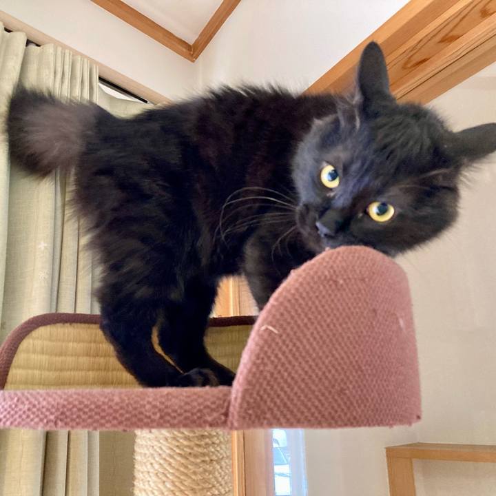 Aca2d54d f821 47b8 b981 d62bb20a993d 1709885281006