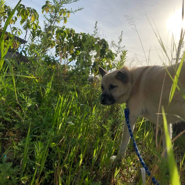 Aca3099f 906e 45ac b3e1 d4454eb4121d 1565353113429