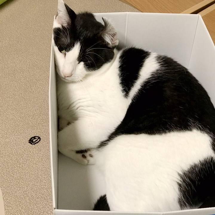 Aca30e7d 0993 4b4e 80ae d774a9c72513 1537492139060