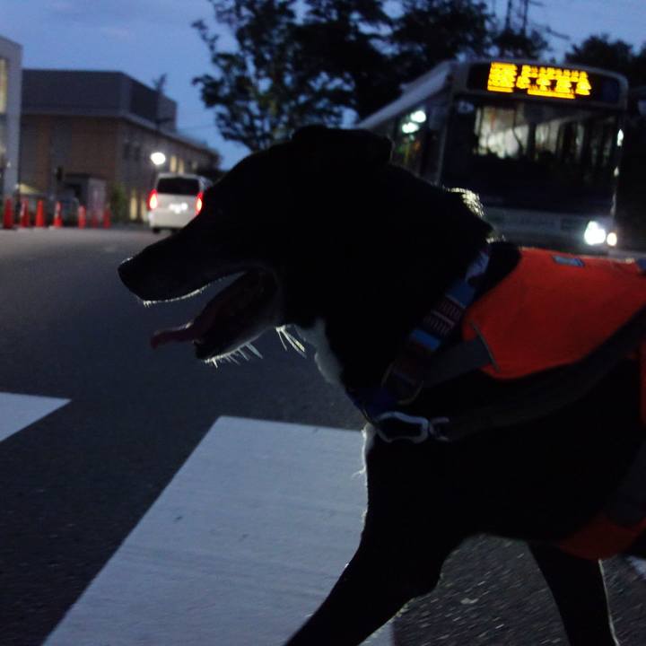 Aca3401d 593f 4e3a b577 21bac6740356 1749985887769