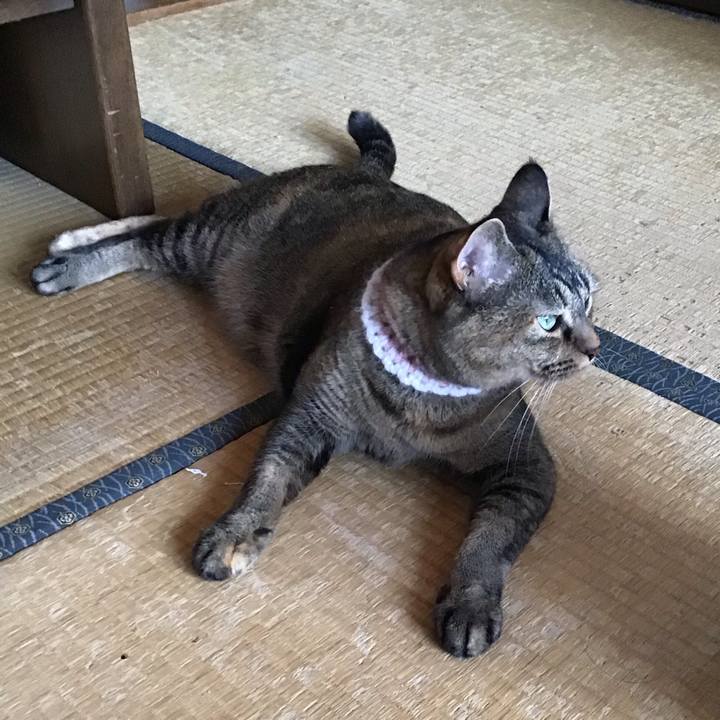 Aca3424d 9695 48ea 9ca1 d4f58e9b0f88 1756535583706