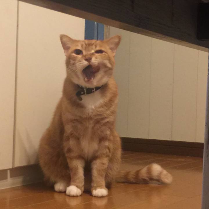 Aca346b9 533a 439e 9996 ab51a6959088 1555942967076