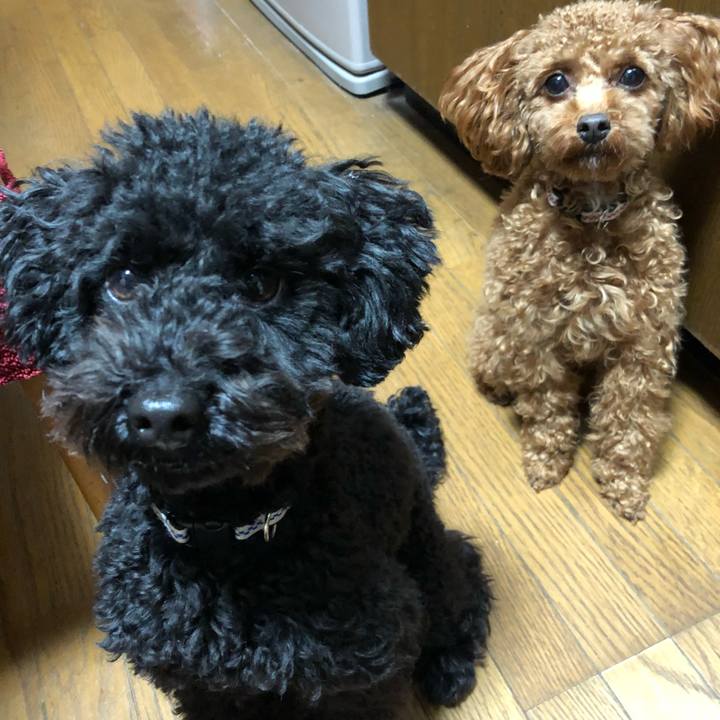 Aca37855 50a2 449c 818d d979a4bfc54a 1514937109020