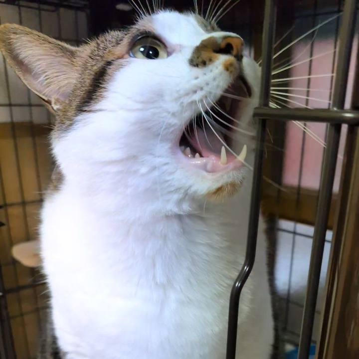 Aca3b47b 2b06 4851 871d 86b0b7de4d61 1788559613357