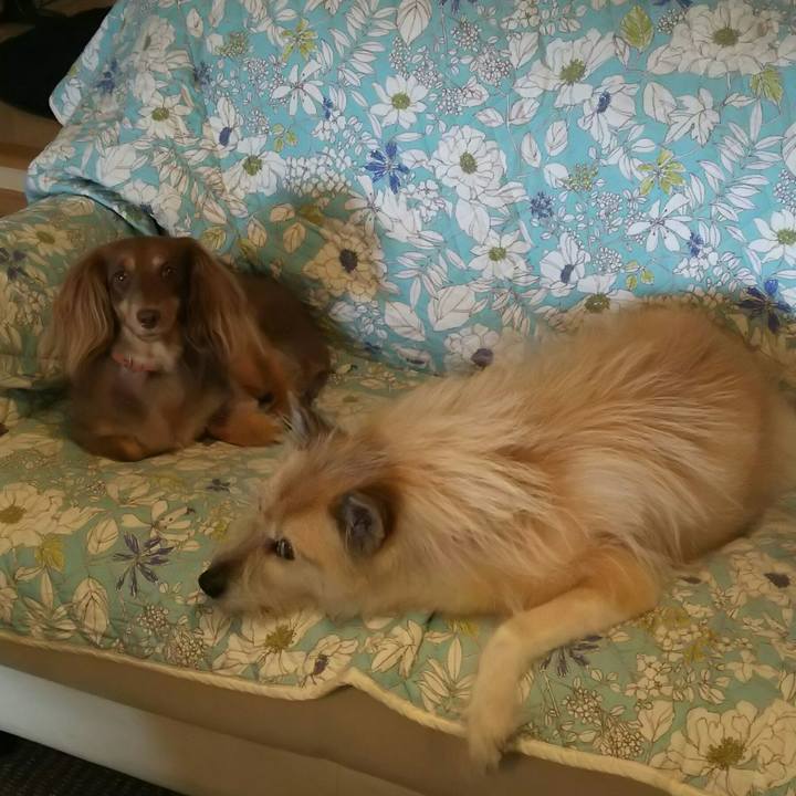 Aca3e5fb 4855 4ea8 bec0 fff85188e554 1534659069757