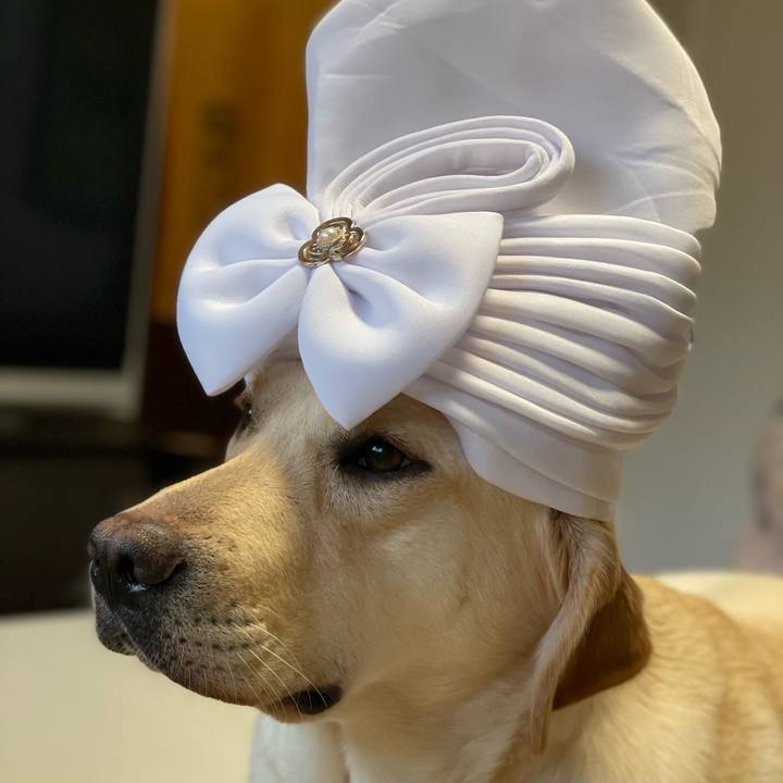 Aca3e667 707c 402d 8f25 220c64197440 1650296133386