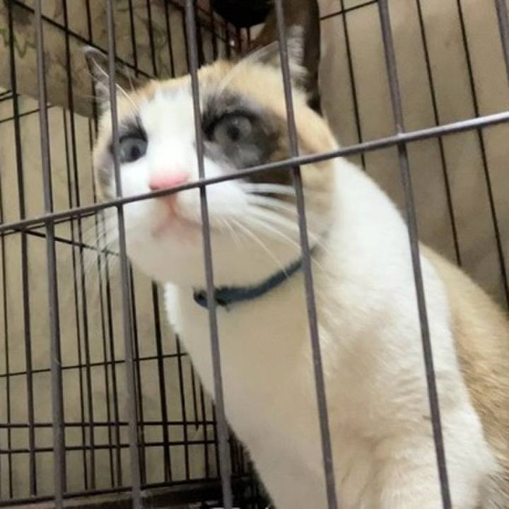 Aca401ab b6bf 4687 8cf7 c304349e4cdd 1740562540170