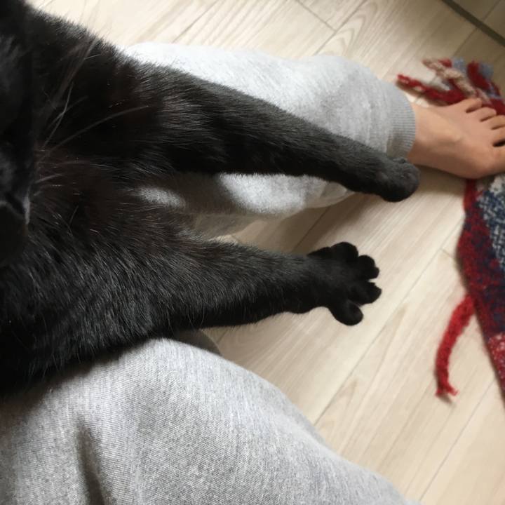 Aca47cda 94a4 48f2 aae5 f0eec33fd24f 1519447408923