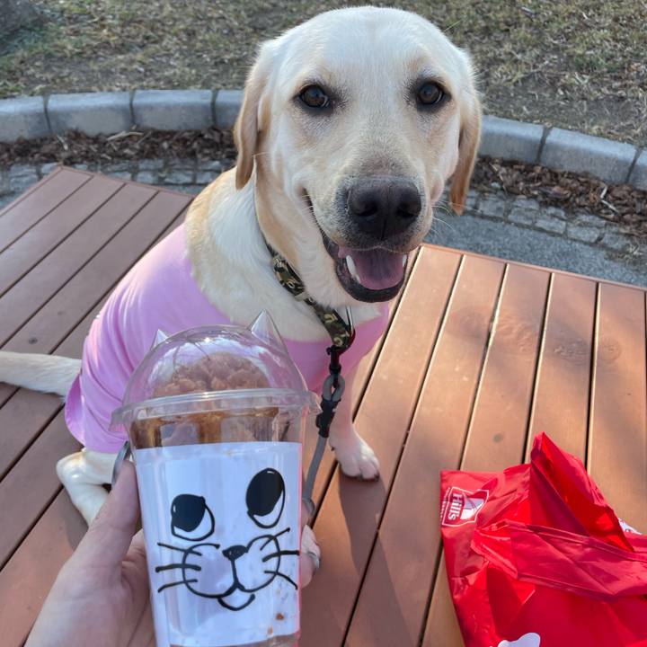 Aca4838c c6bc 42bb a662 a9c6091ced76 1645776992162