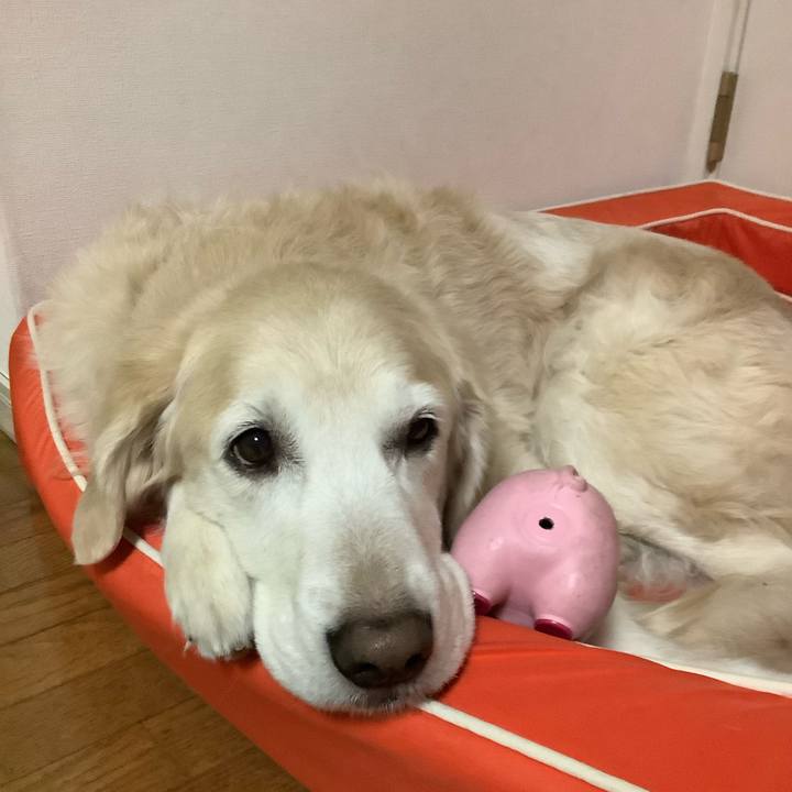 Aca4adb1 3c1d 4f14 b667 2393dcf59e5a 1641456894496