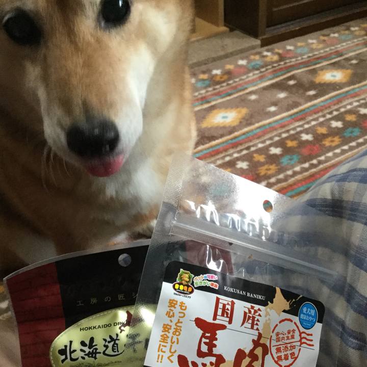 Aca4cf84 4d69 41e2 ab93 e3ed55cae875 1545713208268