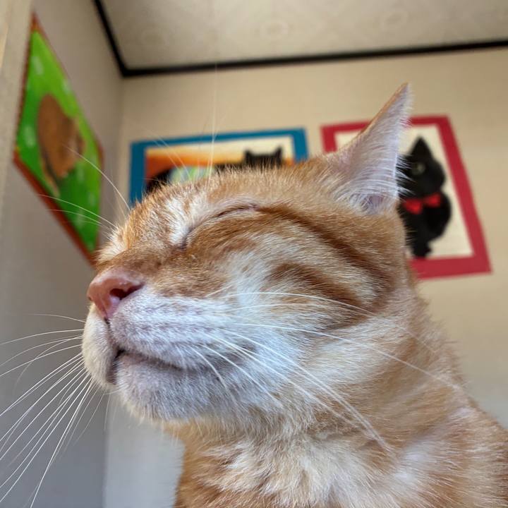 Aca4e1f4 58fb 4078 9227 a5104037c333 1757900316297