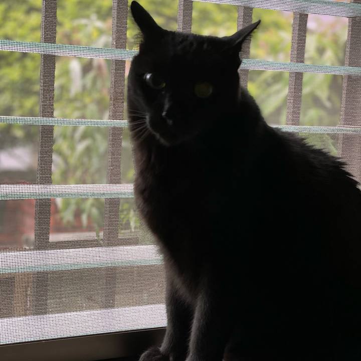 Aca4f86f 6250 4e9a b5e3 57c7abe33d4b 1620177313165