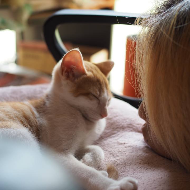 Aca50872 813b 40c3 9eb7 20ea28e3d6a3 1596255235139