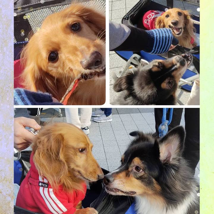 Aca568d4 47f6 4343 82fc 3683e813e72c 1638704780776