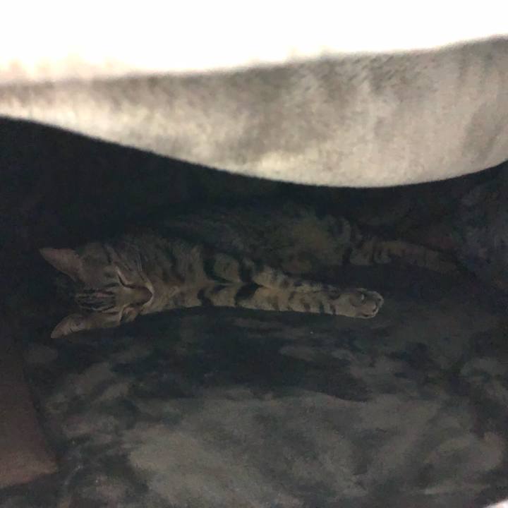 Aca59b94 a4d7 4fb7 8d86 9cee0c4f8a52 1516013730567