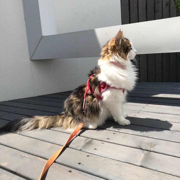 Aca5ab04 fa2a 4062 be50 ae7d605a6f94 1524372949444