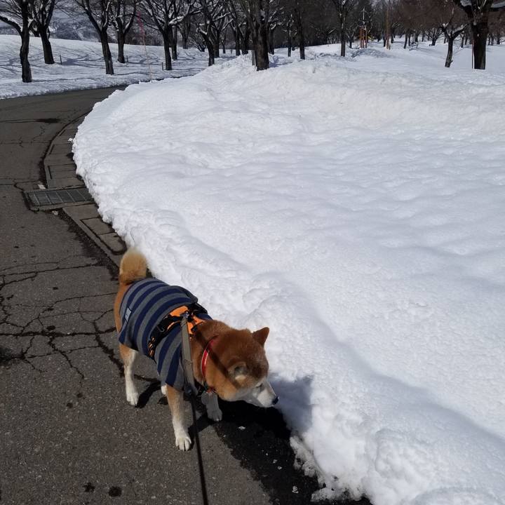 Aca5ae61 13dc 45ce a530 63a4968b4d86 1710044870886