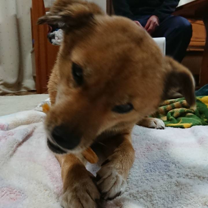 Aca64db8 4505 4a17 bc1d 919b6f4a32a9 1545746524431