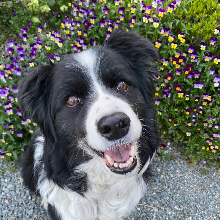 Aca6eb4e afa0 4986 8274 602b9b954094 1618913243006