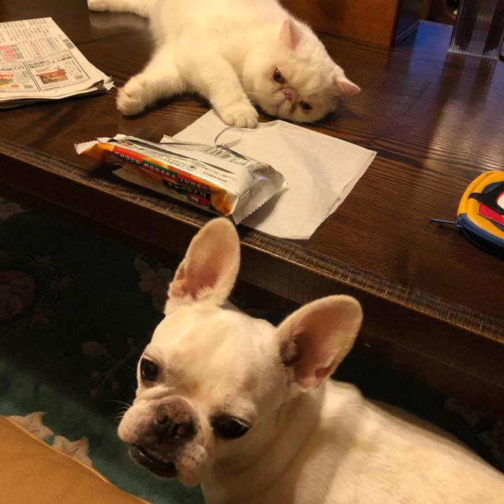 Aca70185 7fb5 41d9 8e94 72cfbfccc4e4 1663758937181