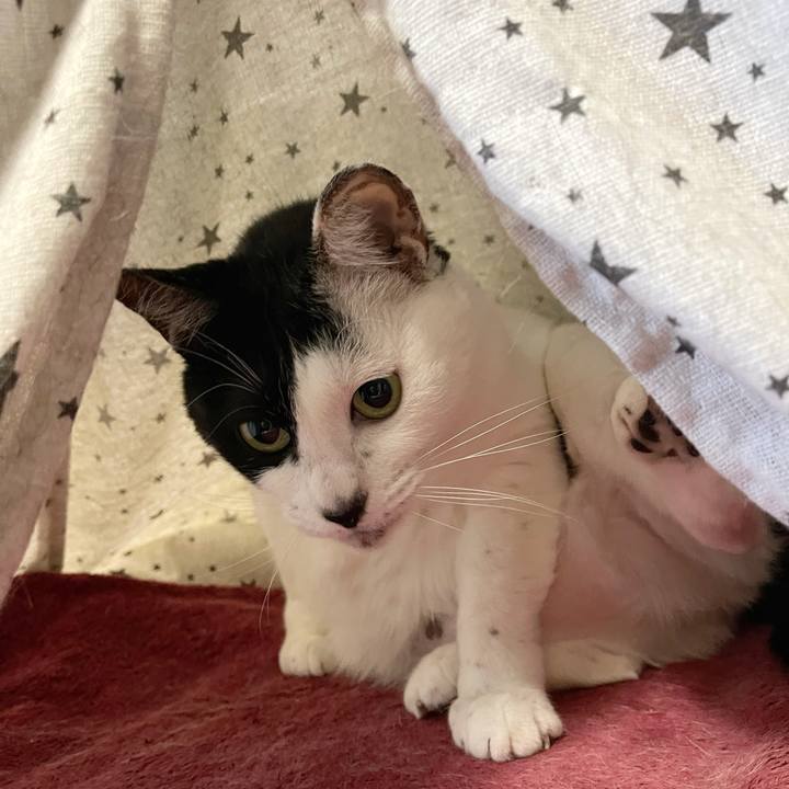 Aca72a92 3ad5 404f 8cc2 a8813194a4d2 1765493677727