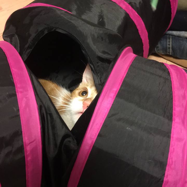 Aca73703 2ac6 47db b802 2ff59fc4e6c1 1510270787386