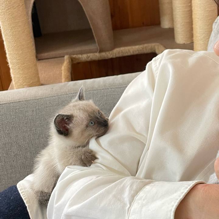 Aca75610 c2eb 436e be31 e2fe28a9a906 1685872214009