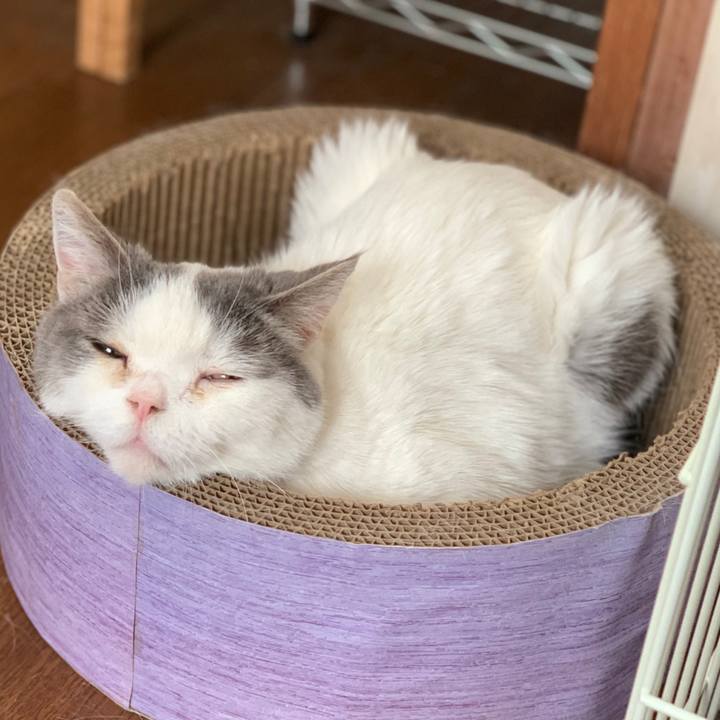 Aca78c8c 728a 4cb5 a649 c55e9521ecbd 1750393681351