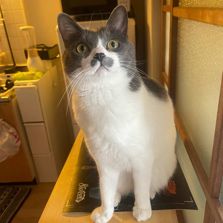 Aca790e6 3a35 47b9 8aa9 ad666b7d2a92 1645835341673