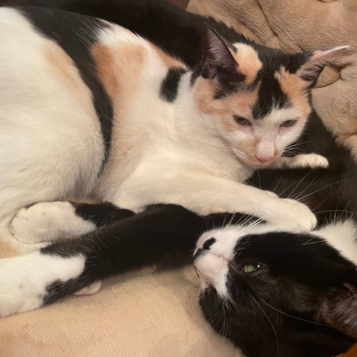 Aca79c01 4466 448a a894 a1247ed41a45 1684578043444