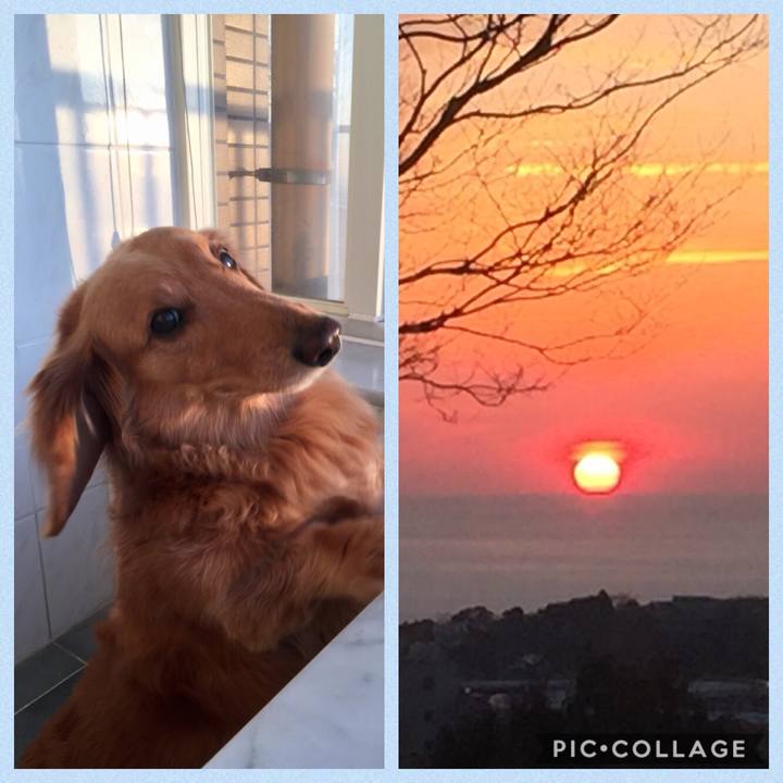 Aca7a370 748a 492a bffb 9c6f9b08f527 1520128125425