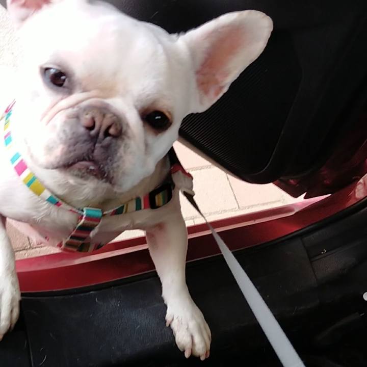 Aca7b7ca 4903 4238 9da7 5ab7c42237c0 1651733849782