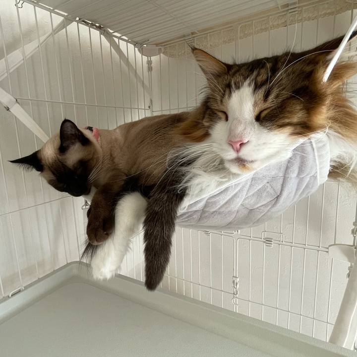 Aca7df36 3330 47c1 b2fa 794c77ee0231 1714267450240