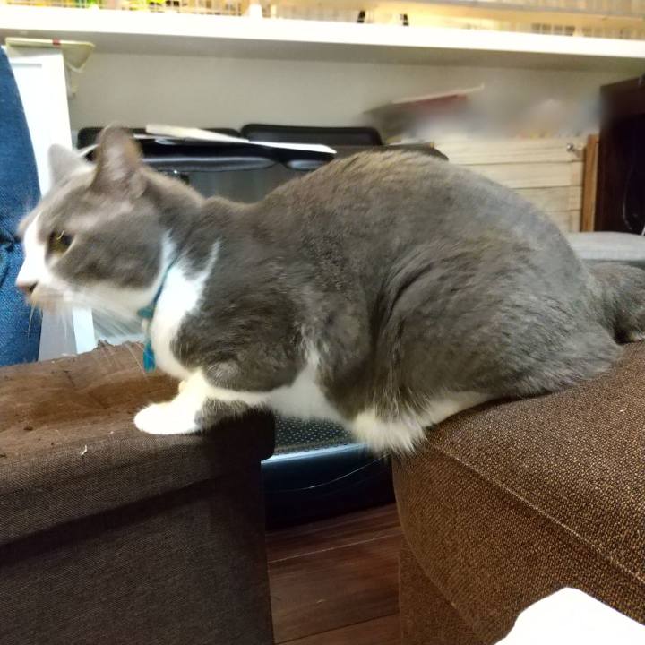 Aca7f68b cc77 4798 9b52 052f6e13a760 1639838520732