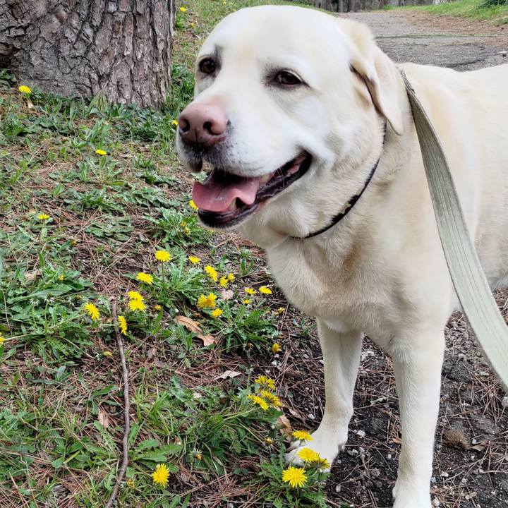 Aca7f798 448d 4d9c 8d90 0026072d9b3d 1712216281235