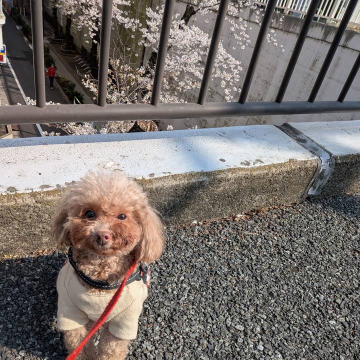 Aca83825 c4fc 4d73 abdf 5111e9d40cb3 1774765170326