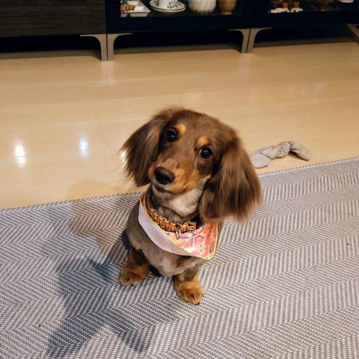 Aca87362 8a48 427d 9fcf fbea389013f4 1721652390158