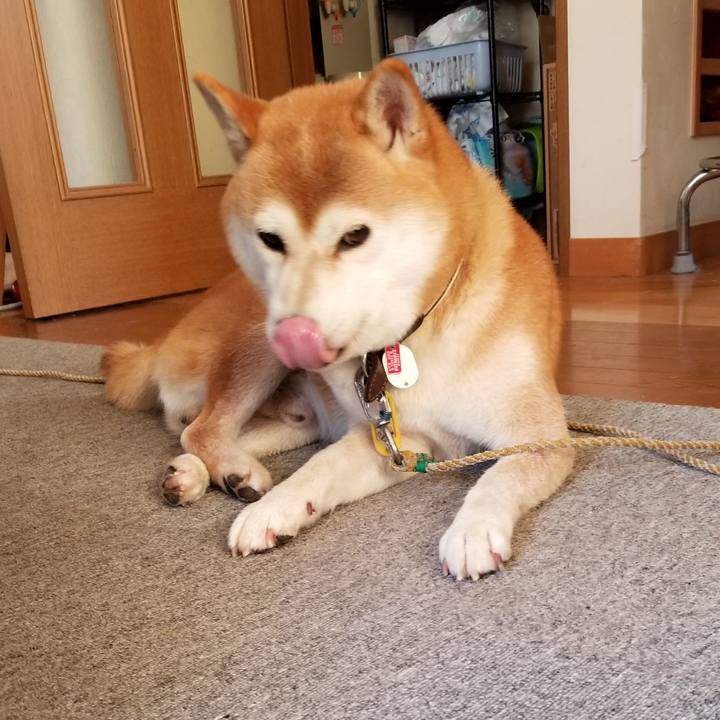 Aca89366 03f8 49c1 9553 047a30369e5e 1598919009104