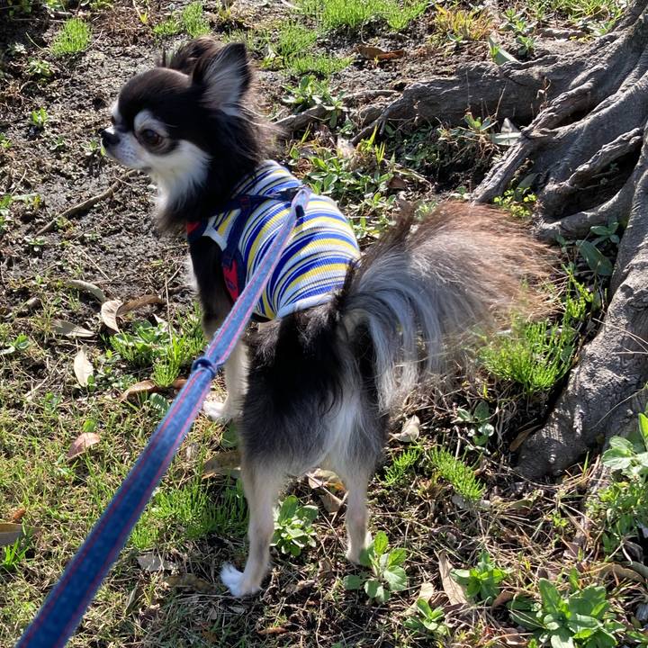 Aca893b1 6b75 4d46 9edf fc33e488478a 1713096408013