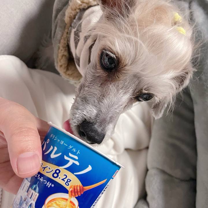 Aca898ea 2e53 4511 84dd 85b4ed6a83c3 1773909075548