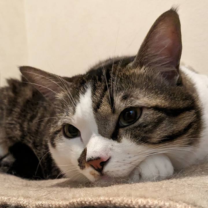 Aca8c5f7 ddd2 46c2 80e4 a20dc04caa0d 1700574456360